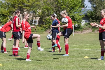 Bild 37 - F SG NieBar - IF Stjernen Flensborg : Ergebnis: 2:0
